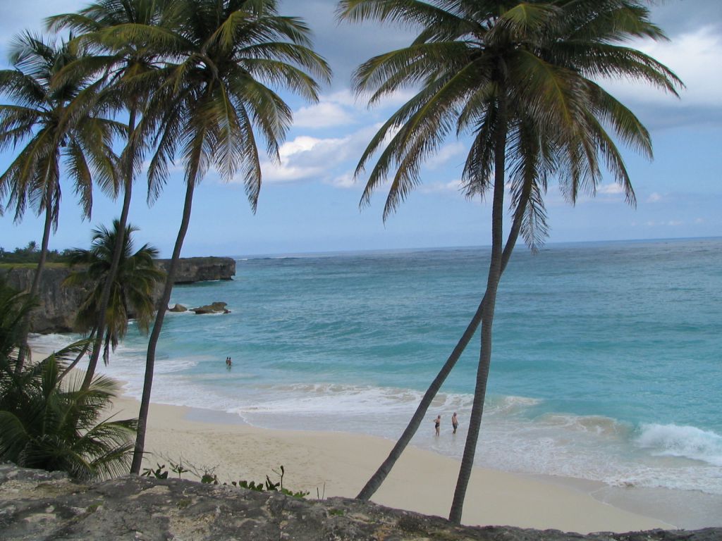 Bottom Bay